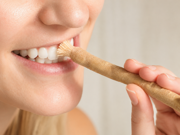 Miswak — Warum ein Zweig aus dem Salvadora-Baum die Zahnbürste schlagen kann