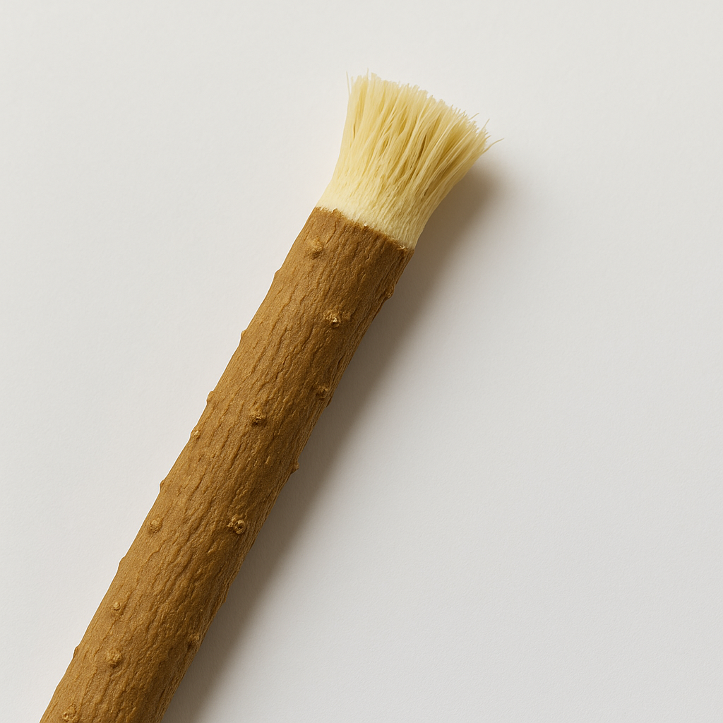 Miswak – Nettoyage naturel des dents issu de l'arbre Salvadora Persica