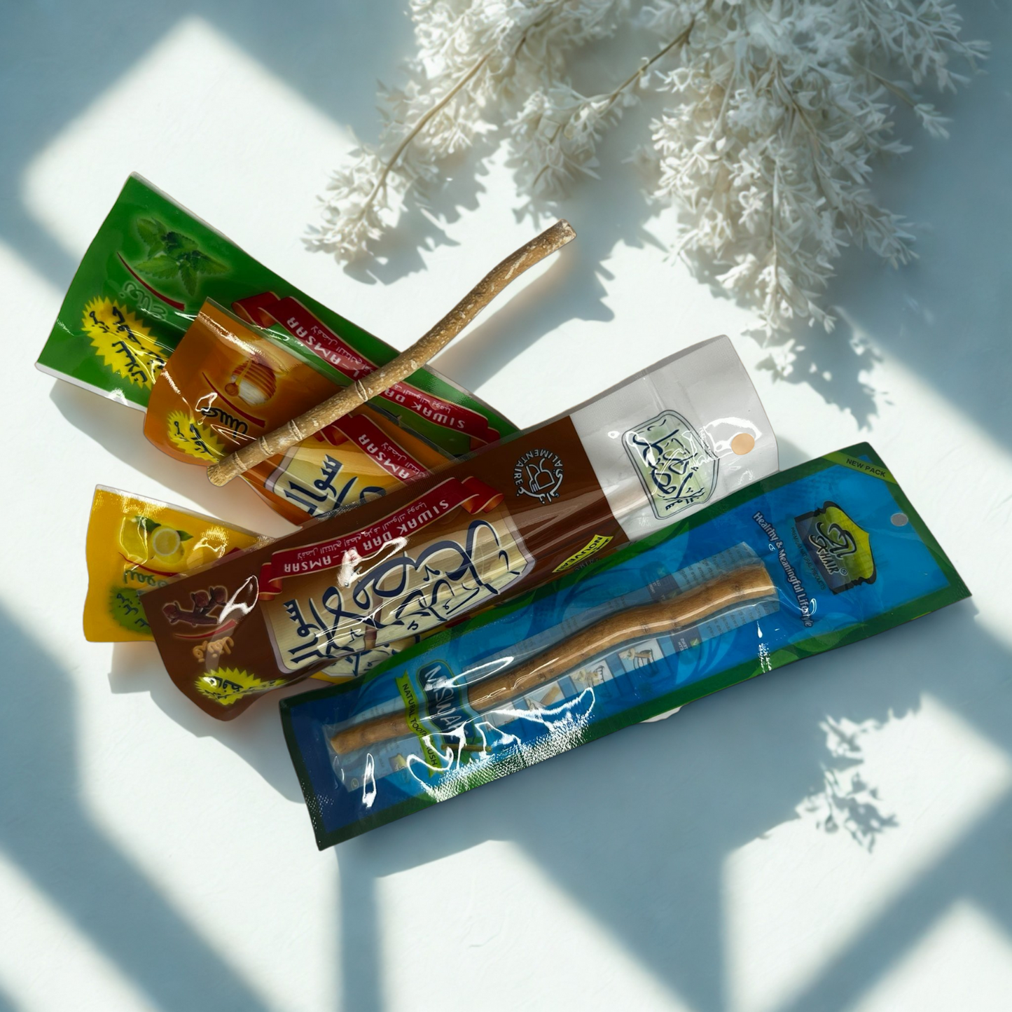 Miswak – Natürliche Zahnreinigung aus dem Salvadora-Persica-Baum