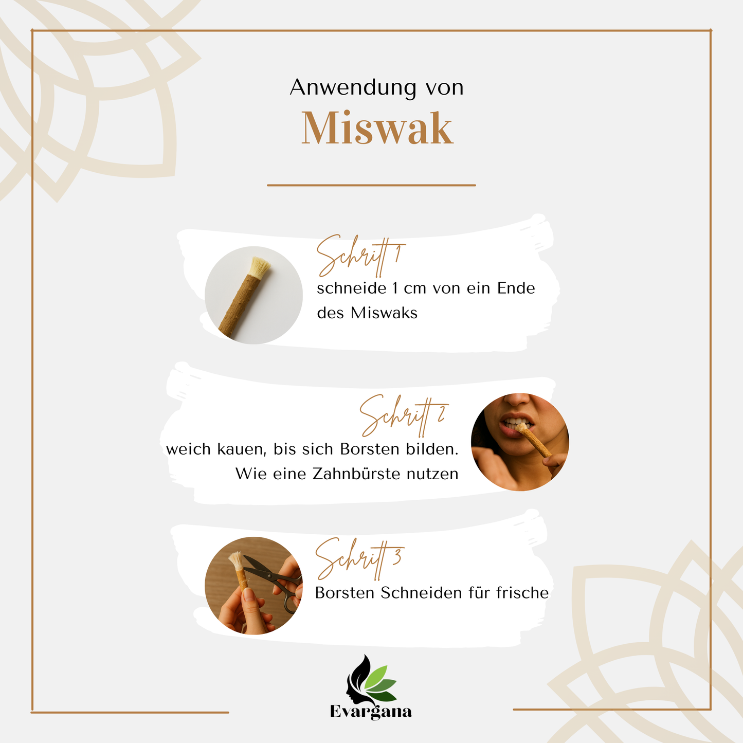 Miswak – Natürliche Zahnbürste aus dem Salvadora-Persica-Baum (Nelke, Zitrone, Honig oder Minze)