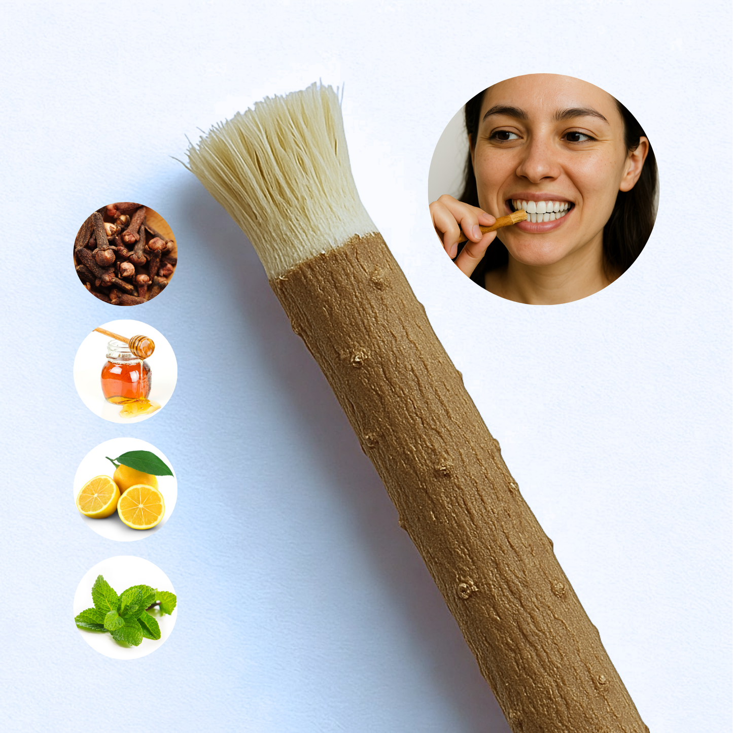 Miswak – Natürliche Zahnbürste aus dem Salvadora-Persica-Baum (Nelke, Zitrone, Honig oder Minze)