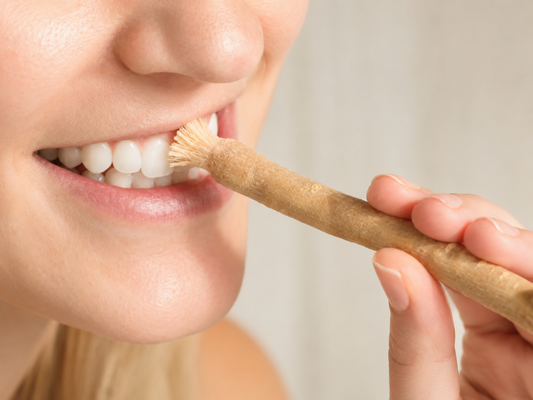 Miswak — Warum ein Zweig aus dem Salvadora-Baum die Zahnbürste schlagen kann