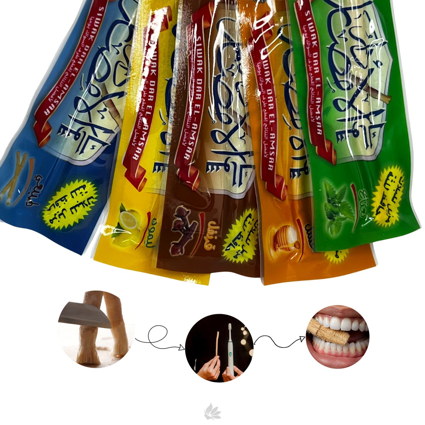 Miswak – Natürliche Zahnreinigung aus dem Salvadora-Persica-Baum